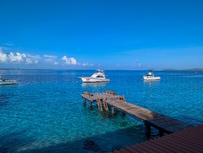 Bonaire 2024 - Nov-133
