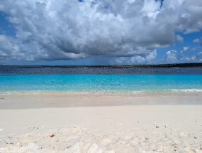 Bonaire 2024 - Nov-141