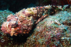 Bonaire 2024 - Nov-22