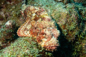 Bonaire 2024 - Nov-23