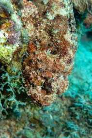 Bonaire 2024 - Nov-50