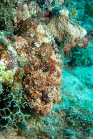 Bonaire 2024 - Nov-51