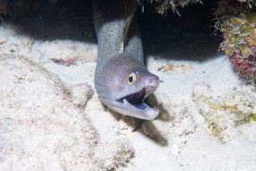 Bonaire 2024 - Nov-76