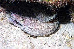 Bonaire 2024 - Nov-77