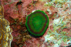 Bonaire 2024-104