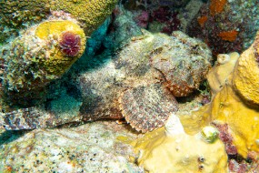 Bonaire 2024-112
