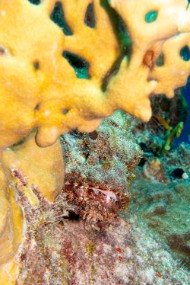 Bonaire 2024-113