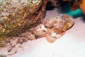 Bonaire 2024-117