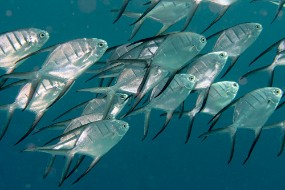 Bonaire 2024-125