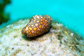 Bonaire 2024-138
