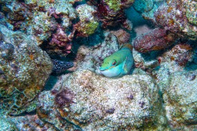 Bonaire 2024-145