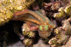Bonaire 2024-152