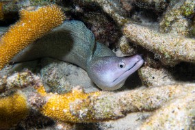 Bonaire 2024-156