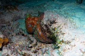 Bonaire 2024-161