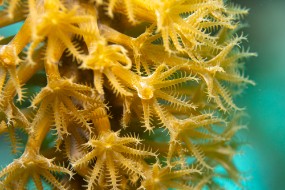 Bonaire 2024-179