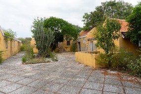 Bonaire 2024-211