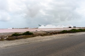 Bonaire 2024-227