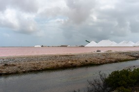 Bonaire 2024-231