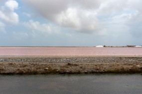 Bonaire 2024-232