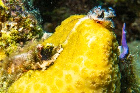 Bonaire 2024-28