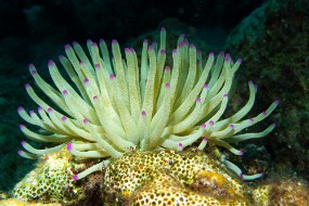 Bonaire 2024-34