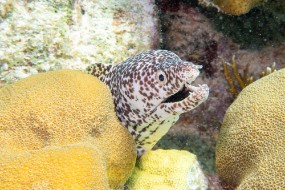 Bonaire 2024-7