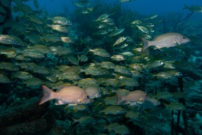 Bonaire 2024-71