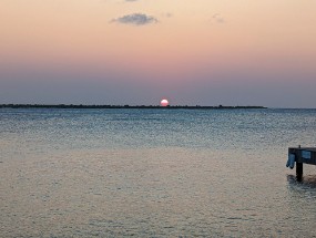 Bonaire 2024-79