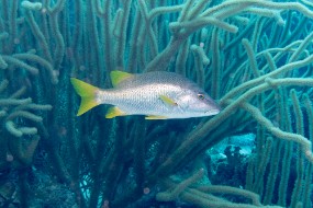 Bonaire 2024-83