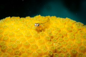 Bonaire 2024-9
