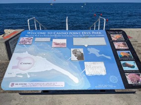 Catalina 2021-278