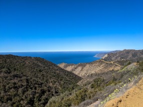 Catalina 2021-28