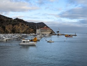 Catalina 2021-290