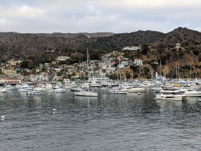 Catalina 2021-296