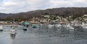 Catalina 2021-297