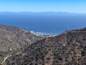 Catalina 2021-33
