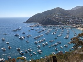 Catalina 2021-44