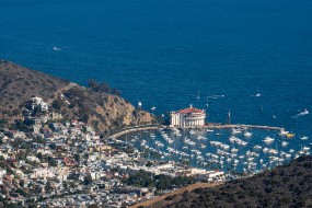 Catalina 2021-50