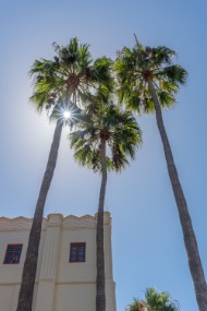 Catalina 2021-64