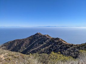 Catalina 2021-9