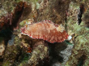 IMG_1059