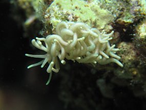 IMG_1206