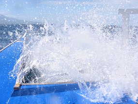 IMG_1261