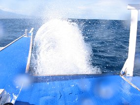 IMG_1263