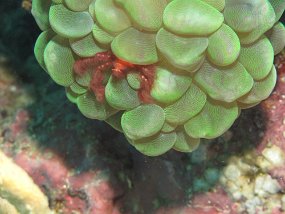 IMG_1370