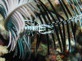 IMG_1420