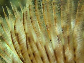 IMG_1440
