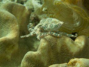 IMG_1579