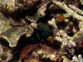 IMG_1602