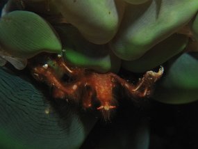 IMG_1671